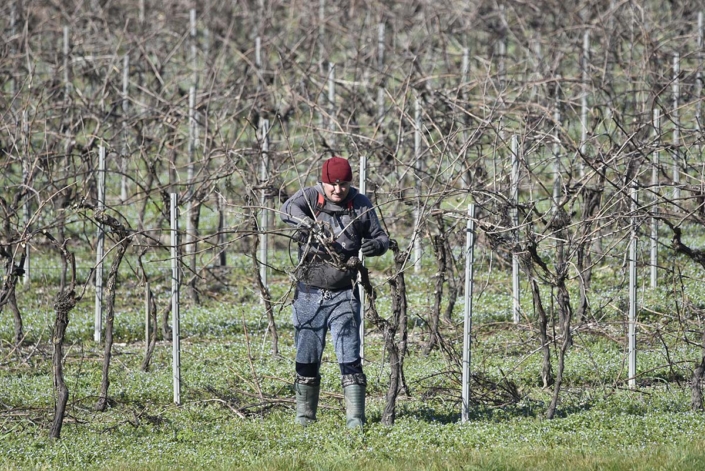 Carico e Smaltimento Ramaglie Fano Fossombrone | Maurizio Sambughi