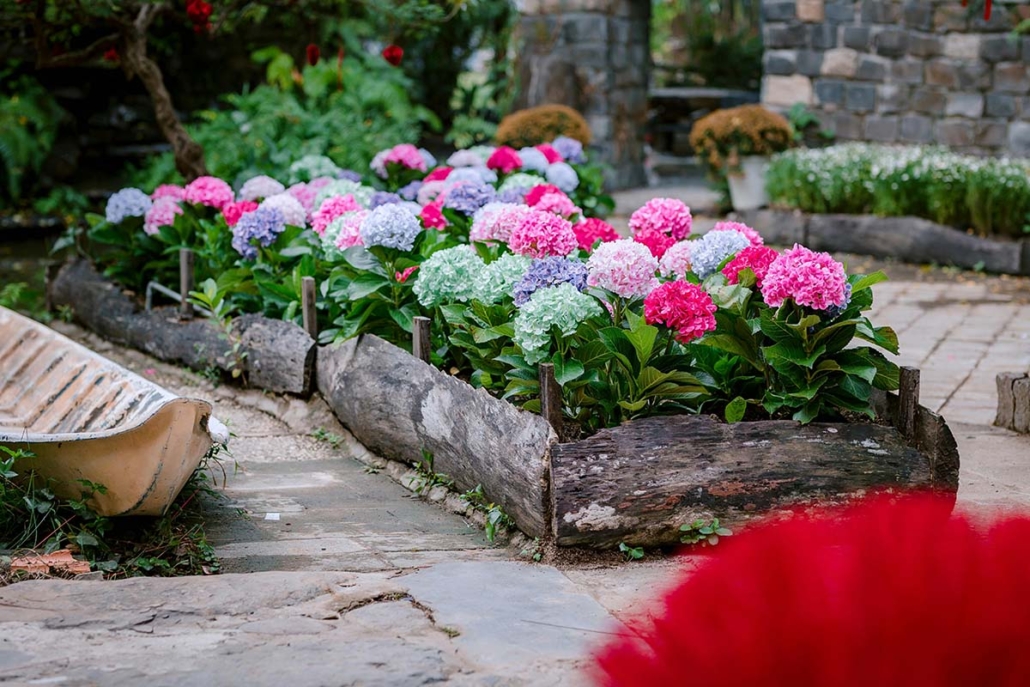 Giardinieri Vicino a Me nella Valle del Metauro | Maurizio Sambughi