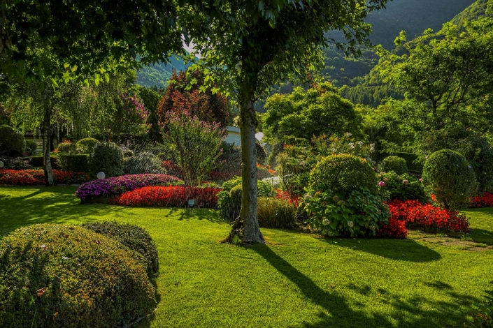 Manutenzione Giardini e Prati Fano Fossombrone | Maurizio Sambughi