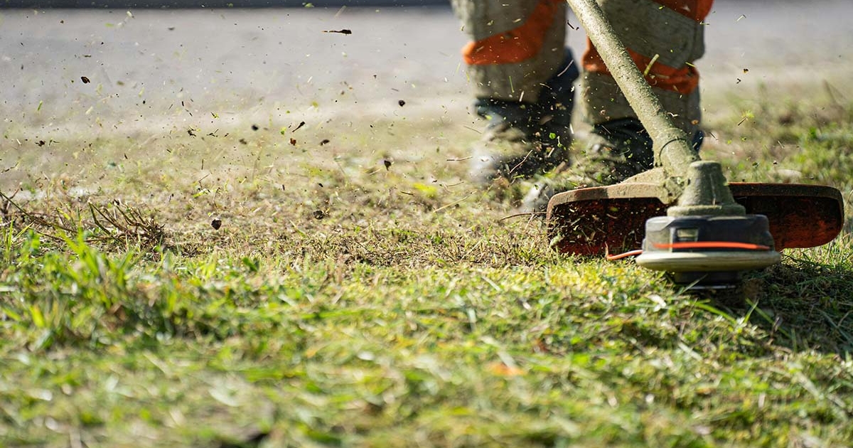 Taglio Erba Professionale Fano Fossombrone | Raccolta e Mulching | Maurizio Sambughi Taglio Erba Professionale Fano Fossombrone | Raccolta e Mulching | Maurizio Sambughi