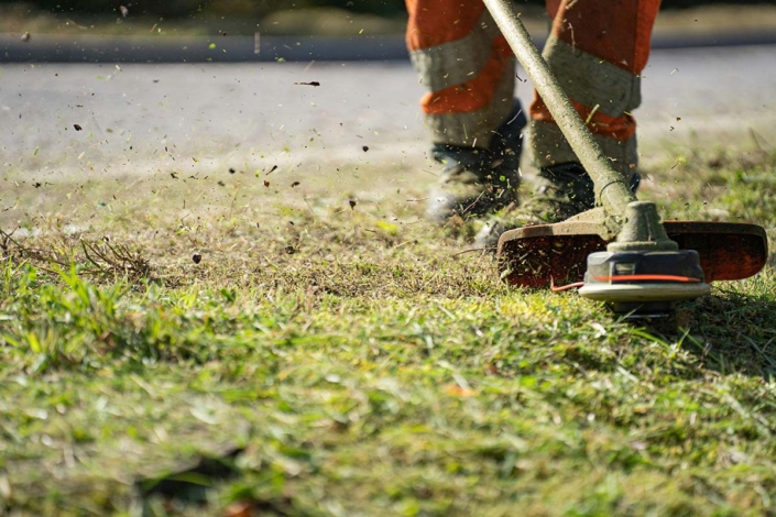 Taglio Erba Professionale Fano Fossombrone | Raccolta e Mulching | Maurizio Sambughi