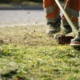 Taglio Erba Professionale Fano Fossombrone | Raccolta e Mulching | Maurizio Sambughi